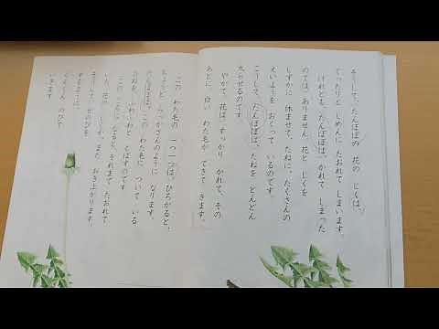 【たんぽぽのちえ】国語（上）小学2年生【音読 読み聞かせ】教科書／光村図書／寝かしつけ／朗読
