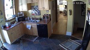 599K views · 1.6K reactions | CRAZY VIDEO: Security cameras catch two thieves in the act! One of them appears to be holding a gun as well! They broke into a home this morning in South St. Louis. If you recognize them, please call authorities to help catch these thieves. | KMOV | Facebook