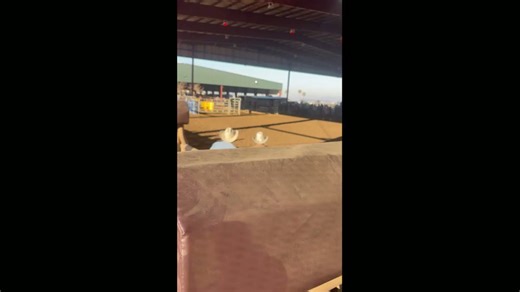 Young rider competes in mutton busting event in Norco, California, USA