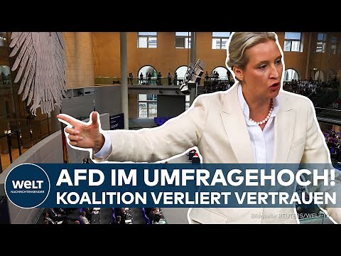 AFD-UMFRAGEHOCH: „Union muss sich entscheiden – Schrumpfen oder Zusammenarbeit mit AfD“