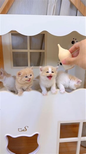 Milk Was Spilling Everywhere… Until He Did This!