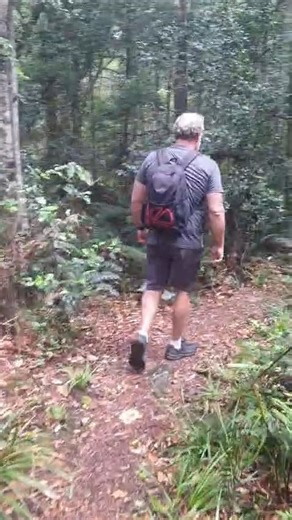 Hiking the Knysna Forest and discovering forgotten mines #knysnaforest #southafrica #midlifetraveltales #travelvlog #travel #ghosttown | Midlife Travel Tales