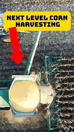 NEXT LEVEL CORN HARVESTING TECHNOLOGY YOU MUST SEE!