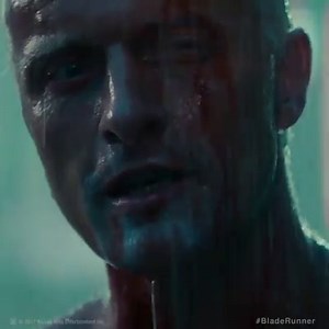 477K views · 349 reactions | Immerse yourself in all the action of Blade Runner: The Final Cut like never before with the lifelike color and multidimensional audio of 4K Ultra HD on 9/5! | Warner Bros. Entertainment | Facebook