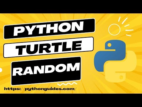 How to create random function | Python Turtle Random
