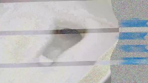 Pato - Wc Acción Total Limpiador para Inodoro Frescor, Limpia y Perfuma, 750 ml (2 x Duo Pack, 4