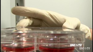 3.1K views · 32 reactions | Health experts say life won't get back to any type of "normal" until there is a vaccine to protect us from Covid-19. Scientists are racing to create one, but it could take more than a year. | PBS North Carolina | Facebook