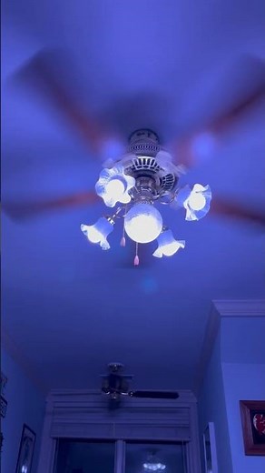 Litex Ellington and Hampton bay landmark iii plus with light light blue bulbs