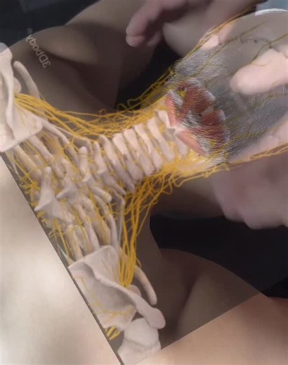 Healing Spa on Instagram: "Relaxing neck massage. #massage #neckmassage #neckworkout #neckpainrelief #fpy"