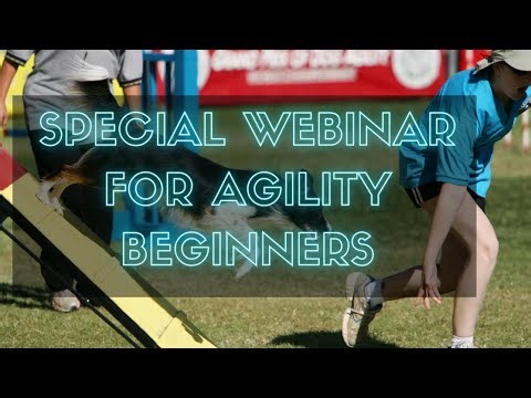 🐾 Special Webinar for Agility Beginners 🐾