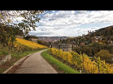 Wine trail at Marienberg Fortress | Exploring Würzburg