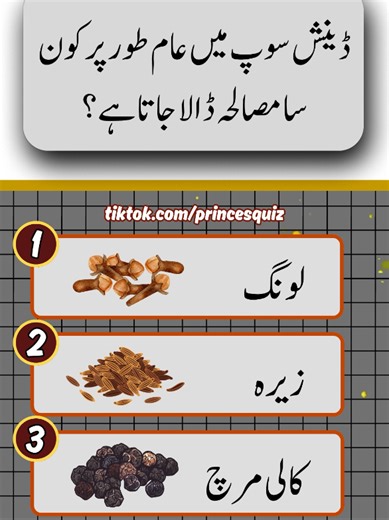 general knowledge quiz | spice quiz #doyouknow #gk #spicees #foodies #quiz