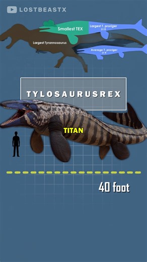TylosaurusRex: The T-Rex of the Sea