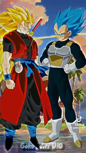 vegeta VS xeno goku