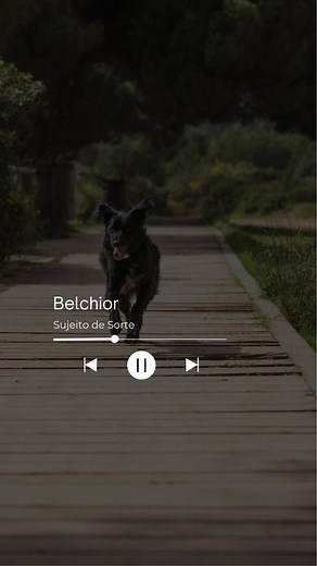 Belchior: Sujeito de Sorte - Uma análise musical
