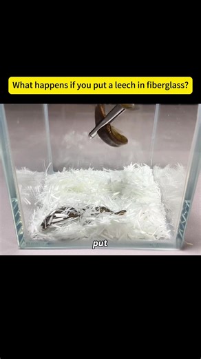 Hit follow,next next one’s gonna be wild!