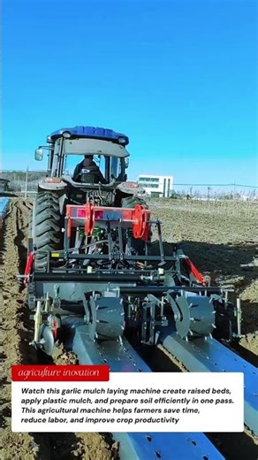 Garlic Mulch Laying Machine in Action | Raised Bed Former for Modern Farming 🚜🤖