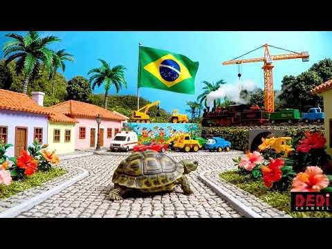 Adorable Baby Brazilian Tortoise Explores a Tropical Miniature Village Full of Color and Life!