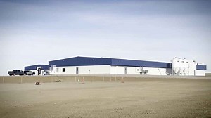 Boar stud facility in Cascade County aims to strengthen pork industry