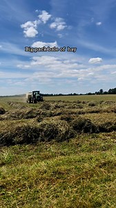 #farming #farmers #farmland #agriculture #organicfarming | Homestead