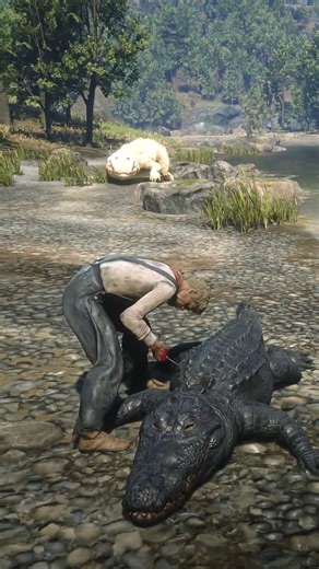 Alligator Attacks Man Skinning Another Alligator! RDR2 #shorts