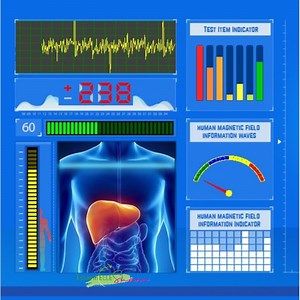 Analyseur quantique par résonance magnétique- Test Bilan