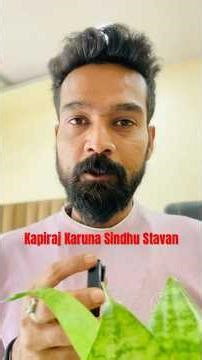 Kapiraj Karuna Sindhu Stavan #hanumanchalisa #hanumanchalisafast #superfasthanumanchalisa