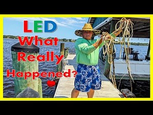 Transform Your Dock! Upgrade LED Lighting for Night Fishing | Full Installation Guide