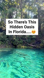 Hidden gem in Florida 😍 Welcome to Fanning Springs, located 2 hours from Tampa and 1 hour from Gainesville. This is easily one of the prettiest springs in Florida! #HiddenGemsUSA #floridavacation #tampabay #hiddengems #floridatravel #floridasprings #floridavibes #gainesvillefl #gainesville #stateparks #statepark #fanningsprings #floridasprings | Florida Trippers