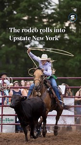 53K views · 323 reactions |  https://l.syracuse.com/2osunh When...