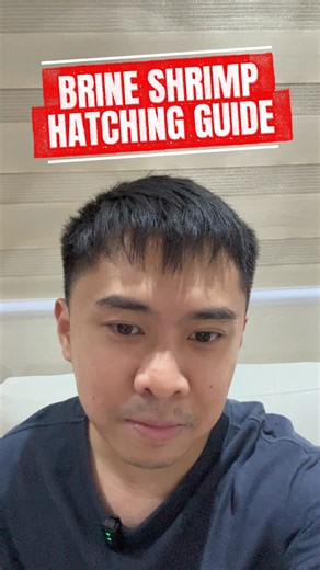 238 reactions · 273 shares | Deep Blue Brine Shrimp detailed...