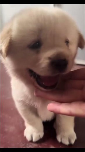 Squad goals matching smiles!