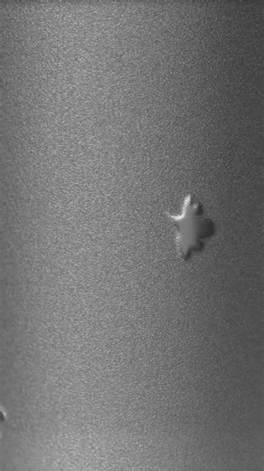 🔥 JUST IN 🔥 💌 DM to place your order 🕛 Processing time: US merchandise🇺🇸 7 business days 📦Shipping info: Worldwide shipping 🌏 Please check your shipping cost from the according origin country table in the 'Shipping' highlight 🤔Thinking about this item? Save this post so you can come back to i 🔎 searching for something not shown on our page? DM us so we can assist you! #loungefly #minnie #loungeflyminibackpack #shopdisney #disneystore New Disney Merchandise 💚 Available now !Send pm if 