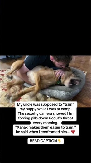 I don’t know why the people are like this… 💔🐾 #puppy #dogs