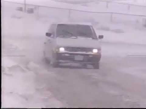 Newfoundland and Labrador Transportation P.S.A. 2002