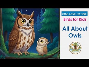 🦉 Owls for Kids : Life Cycle, Diet, Habitat, and Baby Owlet | Learning Story for Kindergarten