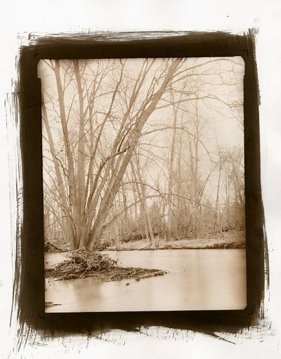 Vandyke Brown Printing Basics - The Film Photography Project