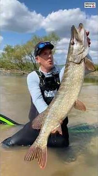 Meter-long pike 😍