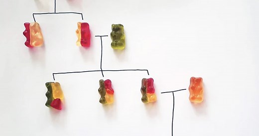 Learn Genetics Quickly With This Simple (and Sweet) Gummy Bear Experiment