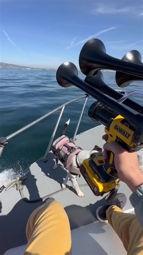 Portable 150dB Train Horn with Wireless Remote Control