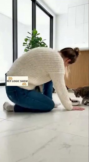 Your Dog vs This Simple Math Problem #funnydogs #pettrend #funnyanimals