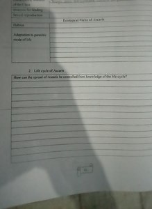 Life cycle of AscarisHow can the spread of Ascaris be control... | Filo