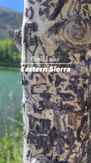 Yet another hidden gem 💎 in California’s beautiful Eastern Sierra. 📍Gull Lake is part of the scenic June Lake Loop and is a perfect stop on your road trip. From breathtaking mountain views to fun water activities like boating, kayaking, swimming, and fishing, you’ll be creating unforgettable memories surrounded by nature’s wonders. Do you prefer off the beaten path 💎 gems or more popular spots? Maybe both? >>> F•O•L•L•O•W @travel_familystyle for family travel inspiration near & far