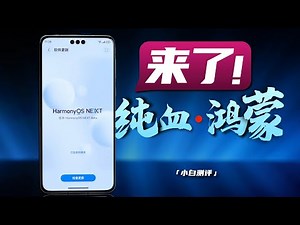 「小白」鸿蒙NEXT Beta体验：从0到1的开始！