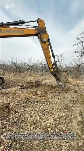 "Excavator Flattens Tree & Digs Roots in One Move! 🌳↓ Must-See Heavy Machinery Hack"