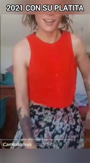 Bajada de pobreza en Chile: Realidad y críticas