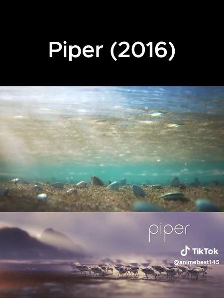 Piper: The Brave Sandpiper Hatchling