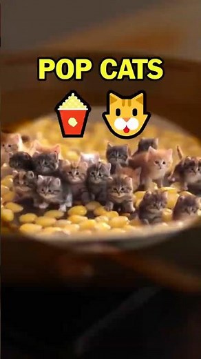 “Pop Cats 🍿 When Your Popcorn Starts Meowing”