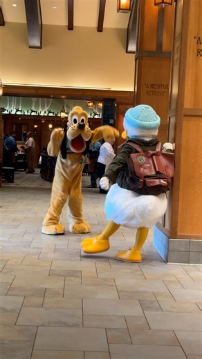 95K views · 6.5K reactions | Pluto dances here with Donald Duck and Clarabelle at Storytellers Cafe in the Disneyland Resort. We enjoyed the Donald’s Tales of Adventure dinner buffet quite a lot! The food was terrific and the character interaction was too. The characters wear outfits created for the dinner. #disneylandresort #disneyland #dlr #storytellerscafe #disneydining #disneycharacters #pluto #clarabellevow #donaldduck | Mousesteps | Facebook