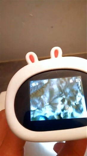 microscope éducatif